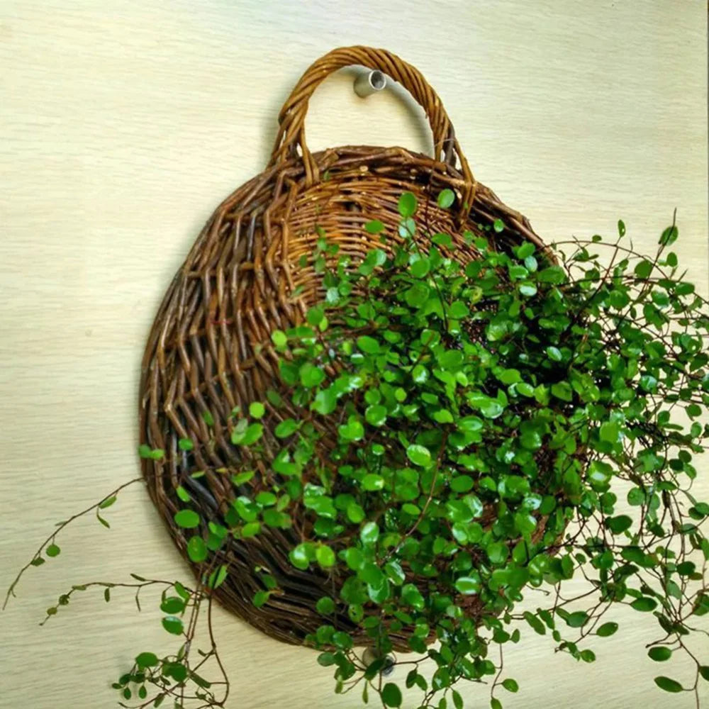 Hand Made Wall Hanging Basket
