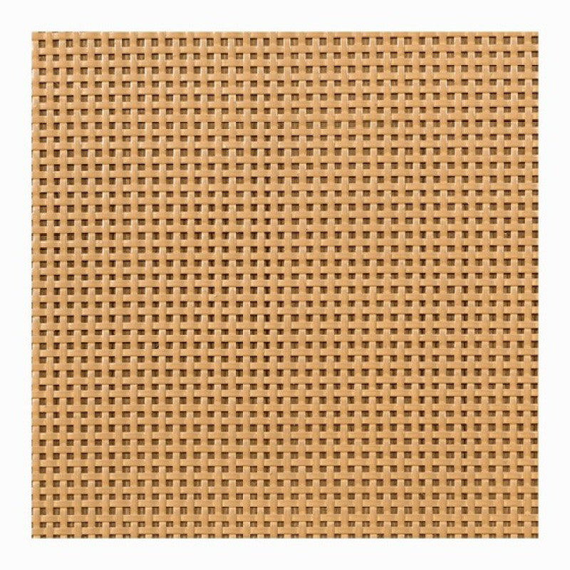 Sienna Woven Cane Queen Platform Bed